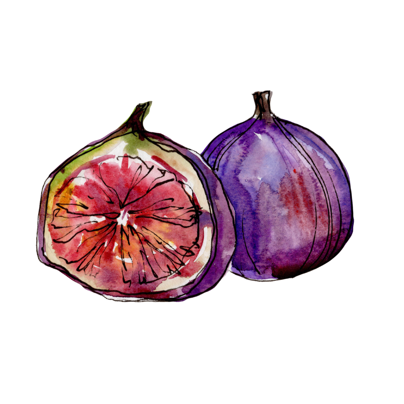 The Fig Malvern